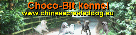 Choco-Bit Kennel Choco-Bit Kennel